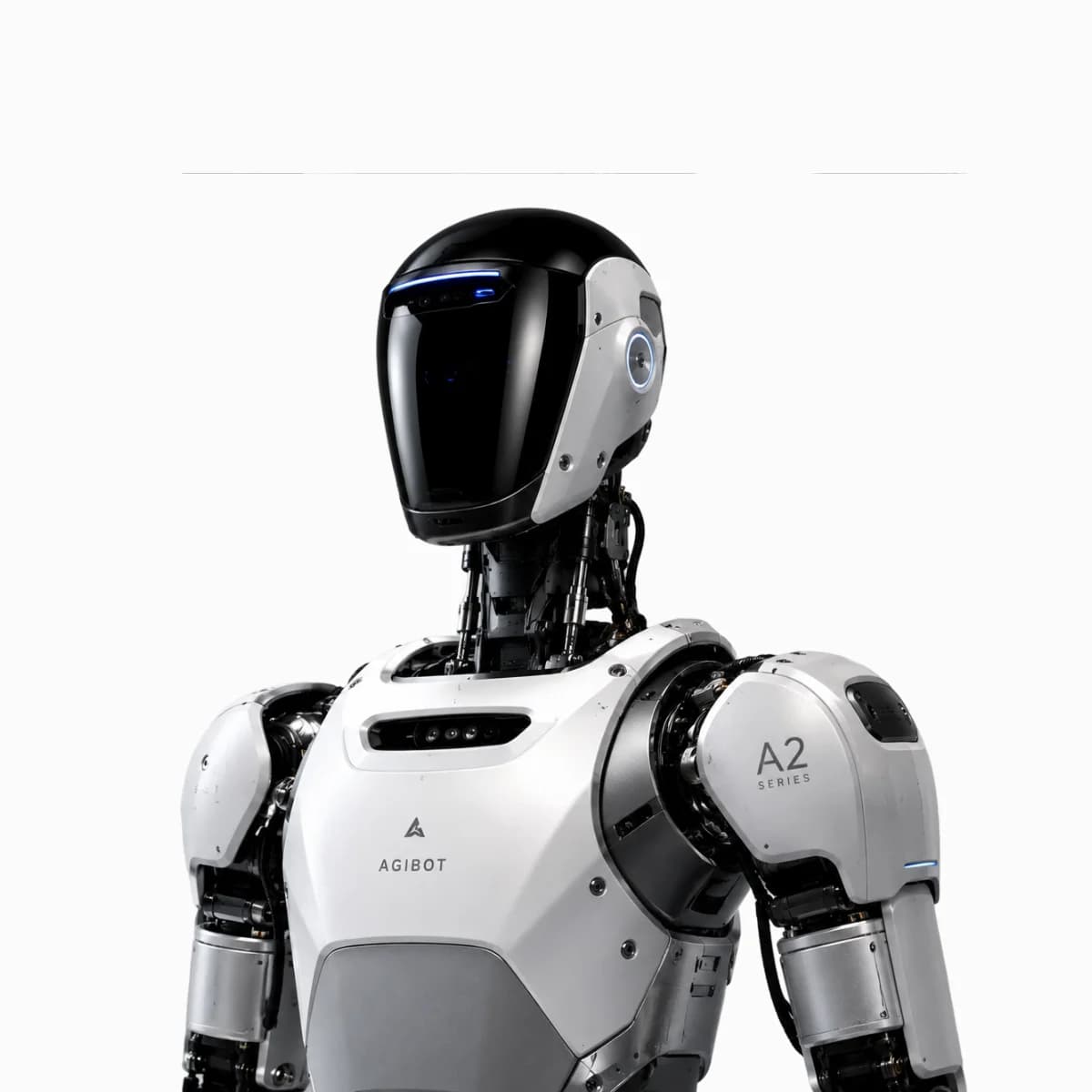 Humanoid Robot